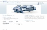 Centrifugal twin-impeller pumps - Pedrollo · Q = Flow rate H = Total manometric head HS = Suction height Tolerance of characteristic curves in compliance with EN ISO 9906 Grade 3B.