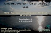 Juma RED Project Un Estudio de Casoelti.fesprojects.net/2011_REDD_Conf_Panama/pavan.pdf · 2011-05-02 · Juma RED Project –Un Estudio de Caso REDD+ Technical, Socioeconomic and