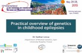 Practical overview of genetics in childhood epilepsies...Genes involves in both mild and severe epilepsy phenotypes Gene Mild phenotype Severe phenotype SCN1A GEFS+ Dravet SCN1B GEFS+