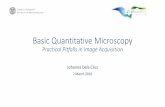 Basic Quantitative Microscopy - Cornell University Quantitative...Basic Quantitative Microscopy Practical Pitfalls in Image Acquisition . Johanna Dela Cruz. 2 March 2016. What are