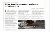 The indigenous voices of Mexico - UNAM · Ang e le s Torre j ón / Imag e n la t ina Indigenous boy from the mountains north of Puebla. Voices of Mexico /January • March, 1995 33