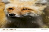 Field Notes Vol 28 2016 · 2016 Field Notes Sta! O ur !rst assignment as Field Naturalists and Ecological Planners was ... Je!rey Hughes is director of the Field Naturalist Program