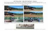 JUNIOR TRAINERS 2012 - US Wild Horse and Burro Associationuswhba.org/.../assets/docs/JUNIOR_TRAINERS_2012.13174200.pdf · 2013-01-15 · JUNIOR TRAINERS 2012 Our Junior Trainers were