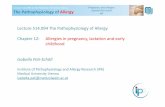 Lecture 514.094 The Pathophysiologyof Allergy Chapter 12 ... · Isabella Pali-Schöll IPA Immunology of pregnancy Hypotheses for survival of the “allogenictransplant” embryo i.