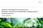 Natural Refrigerant Conversion Roche's Journey to ... · R-134a, HFC 1,300 R-290, Propane 3 R-744, Carbon Dioxide 0 ... • Stability chambers for testing and storage • Cold storage