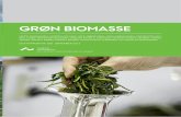 GRØN BIOMASSE...Grøn biomasse er betegnelsen for en levende urteagtig (i mod-sætning til vedagtig) og våd (i modsætning til moden/tør) biomasse. Der er ingen skarp videnskabelig