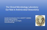 The Clinical Microbiology Laboratory: Our Role in Antimicrobial …publichealth.lacounty.gov/acd/docs/SNFSymposium2018/Antibiotic... · Gram Stain for Bacteria • Report results