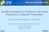 Best and Evidence-Based Practices in Suicide Preventionsuicideprevention.nebraska.edu/Documents/summit2010/Evidence-Based and Evidence...15 Why don‟t we stop at evidence-based programs?