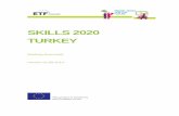 SKILLS 2020 TURKEY - Europa · 2018-06-29 · in implementing the political, institutional, legal, administrative, social and economic reforms required to bring the countries closer