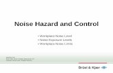 Noise Hazard and Control..., 3 Noise Hazards Anything or activity that has the potential to cause hearing loss and deafness is a Noise Hazard. Noise hazard exists if a person is exposed