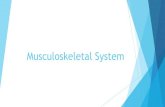 Musculoskeletal System - Riverside City Collegewebsites.rcc.edu/.../09/Musculoskeletal-System-Student.pdf · 2016-09-14 · Musculoskeletal System. Components u Bones u Muscles u