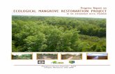 Progress Report on ECOLOGICAL MANGROVE …PROGRESS REPORT ON ECOLOGICAL MANGROVE RESTORATION PROJECT IN THE AYEYARWADY (Mangrove) DELTA Table of Contents 1. Background in Brief 2.