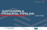PSA Sustaining a Principal Pipeline | Wallace foundation · 2019-02-14 · SUSTAINING A PRINCIPAL PIPELINE iii Novice principals continue to give positive answers to survey questions
