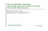 Feasibility Study: Energy Generation from Forest Biomass · 2015-10-15 · feasibility study: energy generation from forest biomass mooretown rancheria oroville, california project