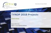 TYNDP 2018 Projects · Rares Mitrache System Development Adviser Overview Brussels, 8 June 2018. 2 TYNDP 2018 Project Collection Timeline. 3 Project Collection Timeline (after 31
