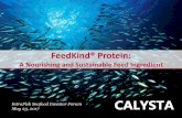 Calysta PowerPoint Presentation2018.intrafishevents.com/sif_may_2017/pres/14_Calysta.pdf · Spirulina Activated Brewery Waste Crude Protein Lipid Crude Fiber Ash Source: FAO Feed