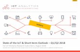 State of the IoT & Short-term Outlook Q1/Q2 2018 · SAMPLE State of the IoT & Short-term Outlook –Q1/Q2 2018 For IoT Analytics Research Subscribers, August 2018 Includes 50+ insights