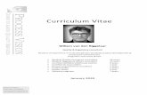 Curriculum Vitae Willem vd Biggelaar - Process Vision · 2019-12-27 · Curriculum Vitae – Willem van den Biggelaar Process Vision - Down to earth Quality Services Page 2 of 19