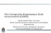 The Composite Ergonomics Risk Assessment (CERA) · ISO 26800:2011 - Ergonomics -- General approach, principles and concepts . The basic requirements for an ergonomics-oriented design