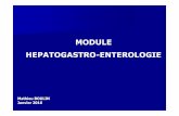 2016 - Hepato gastro enterologie - IFSI DIJON · 2016-01-12 · 1 -L'ulcère gastro-duodénal • Définition de l'ulc ère Perte de substance d étruisant la paroi gastrique ou duod