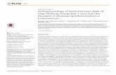RESEARCHARTICLE PathophysiologyofEndometriosis:Roleof … · 2019-09-04 · RESEARCHARTICLE PathophysiologyofEndometriosis:Roleof HighMobilityGroupBox-1andToll-Like Receptor4DevelopingInflammationin