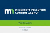 Wild Rice Waters - Minnesota Environmental Quality …...Presentation Overview • Beneficial use and legislative directive • Two-part approach to designating wild rice waters •