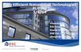 High Efficient Natural Gas Technologies - US Department of ... · traditional residential unit Input ratings 199,999 BTUs/hour as many codes change at 200,000 BTUs/hour and above
