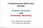 Computational Molecular Biology Protein Structure and ...molsim.sci.univr.it/2014_bioinfo2/Structural_Modeling.pdf · Computational Molecular Biology Protein Structure and Homology