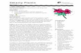 Smarty Plants - SF Environment · Smarty Plants Grades 2-7 Lesson Summary Students learn about plants and pollinators and design their own imaginary plants. Overview In this lesson,