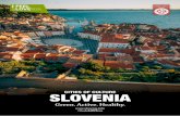 CITIES OF CULTURE SLOVENIA · castle and town walls, Romanesque and Gothic churches, the Renaissance and Baroque on facades, art nouveau in different building styles, the originality