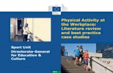 Physical Activity at the Workplace: Literature …...Sport Physical Activity at the Workplace: Literature review and best practice case studies Sport Unit Directorate-General for Education