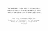 An overview of food, environmentally and industrially ...old-biomikro.vscht.cz/vyuka/ifm/Food_environmentall_and_industriall.pdf · An overview of food, environmentally and industrially