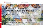 Economic impact of Pectobaterium and Dickeya species on ... · Lp = loss due to post-harvest soft rot in seed and ware potato production. Economic impact of Dickeya et Pectobacterium
