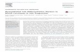 Myoepithelial Cell Differentiation Markers in Ductal ... cell differentiation...(DCIS) and report that compromised myoepithelial cell differentiation occurs before transition to invasive