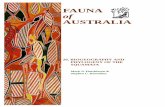 FAUNA of AUSTRALIA - Department of the …...analysis of increasingly large data sets. Examples involving the Australian fauna include the squamates (Estes, de Queiroz & Gauthier 1988),