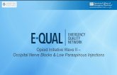 Opioid Initiative Wave II – Occipital Nerve Blocks & Low ......Previous craniotomy or known skull defect Anticoagulant or antiplatelet use Pregnancy Prior vasovagal syncope. Occipital