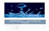 Emergency response plan - DEC Home · Web viewMost emergency response planners follow this common saying: “Plan for the worst possible event and then deescalate your strategies