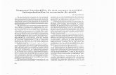 Revista nr.1-2 1995 - Romanian Journal of Economicsrevecon.ro/articles/1995-1-2/1995-1-2-2.pdf · descentralizat in mediul intern extern al întreprinderii române§ti se produc mutatii