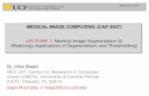 LECTURE 7: Medical Image Segmentation (I) (Radiology ...bagci/teaching/mic17/lec7.pdfLECTURE 7: Medical Image Segmentation (I) (Radiology Applications of Segmentation, and Thresholding)