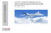 Level 3 NVQ Diploma in Aeronautical Engineering (Aircraft ... · 6 City & Guilds Level 3 NVQ Diploma in Aeronautical Engineering (Aircraft Engine Overhaul) (1789-31) D32 and/or D33