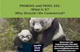 PANDAS and PANS 101: What Is It? Why Should I Be … - 2019/Interim-Studies/Overview of...PANDAS Asperger’s Syndrome Tourette’s Attention Deficit Hyperactivity Disorder (ADD/ADHD)