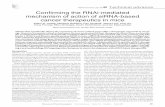 Related Commentary, page 438 Confirming the RNAi-mediated ... · Histological biomarkers confirmed that RNAi-mediated gene silencing effectively inhibited the target’s biologi-cal