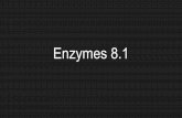 Enzymes 8 - Mr. Adams' Washburn Siteadamsbio.weebly.com/uploads/7/6/7/5/76752321/enzyme_20ppt.pdfTUESDAY 8.1U2: Calculate rates of reaction from raw experimental results Salivary amylase