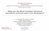 What are the Most Common Chemical Sensitizers at Home … AAAAI HO Most...What are the Most Common Chemical Sensitizers at Home and in the Workplace? Luz Fonacier MD, FACAAI, FAAAAI