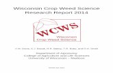 Wisconsin Crop Weed Science Research Report 2014 · Wisconsin Crop Weed Science Research Report 2014 . V.M. Davis, E.J. Bosak, R.R. Bailey, T.R. Butts, and D.H. Smith . Department