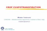 IRRIGATION METHODS AND IRRIGATION …...Reference Evapotranspiration (ETo) FAO definition (FAO 56, 1998) the amount of water lost by evapotranspiration process from ”a hypothetical