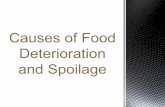 Causes of Food Deterioration and Spoilage - Jajo's Sitemissjajo.weebly.com/uploads/2/5/8/6/25861318/... · !1.Bacteria: Bacteriaare microscopic#organisms# that#cause#food#poisoning#