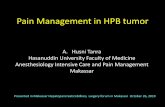 Pain Management in HPB tumor - doccdn.simplesite.comdoccdn.simplesite.com/d/a8/e9/287104482457151912...Ʀ - Ultracet (paracetamol + tramadol) - Dizepam . Palliative care •Palliative