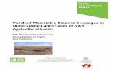 Perched Watertable Induced Seepages in Dune-Swale ... · Dune-Swale Landscapes of SA’s Agricultural Lands Chris Henschke and Mary-Anne Young Primary Industries and Regions Rural