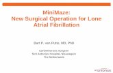 MiniMaze: New Surgical Operation for Lone Atrial Fibrillation uitgebreid antonius look BvPutte.pdf · MiniMaze: New Surgical Operation for Lone Atrial Fibrillation Bart P. van Putte,